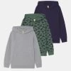 Friboo Hoodie 3 Pack - Sweater - Blue/Olive/Light Grey